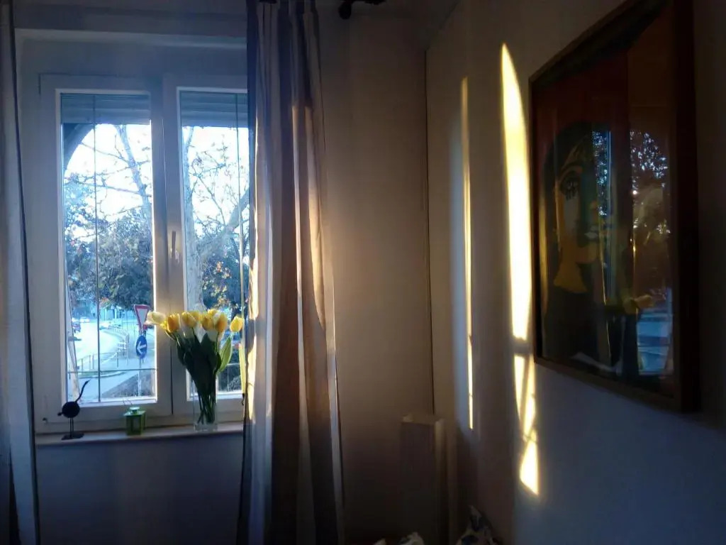 Apartment Optimist/City Break