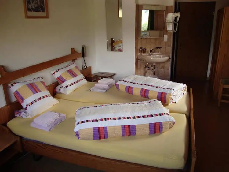 Hotel Walser