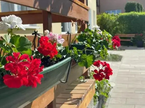 Apartament Cicho Sza