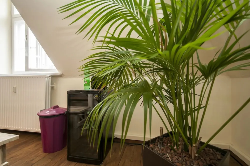 Appartement 7up