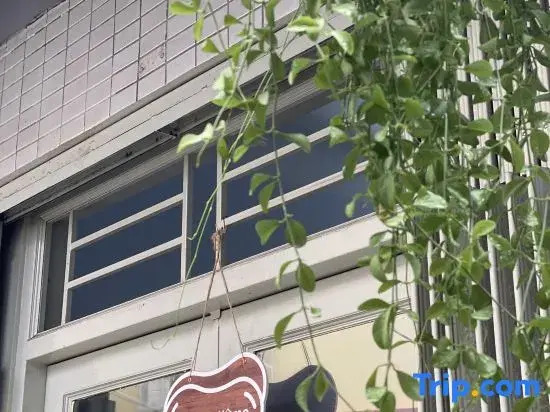 Peanuts Home Calmette - Boutique Cozy Stay near Ben Thanh Market
