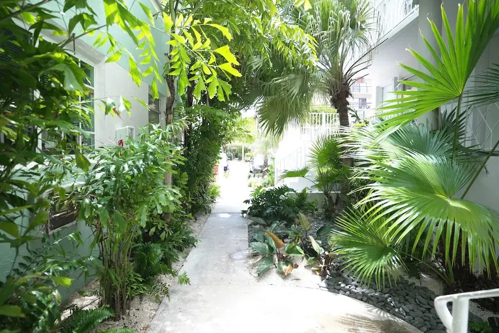 PRAIA Boutique Hotel 5min Miami Beach 49