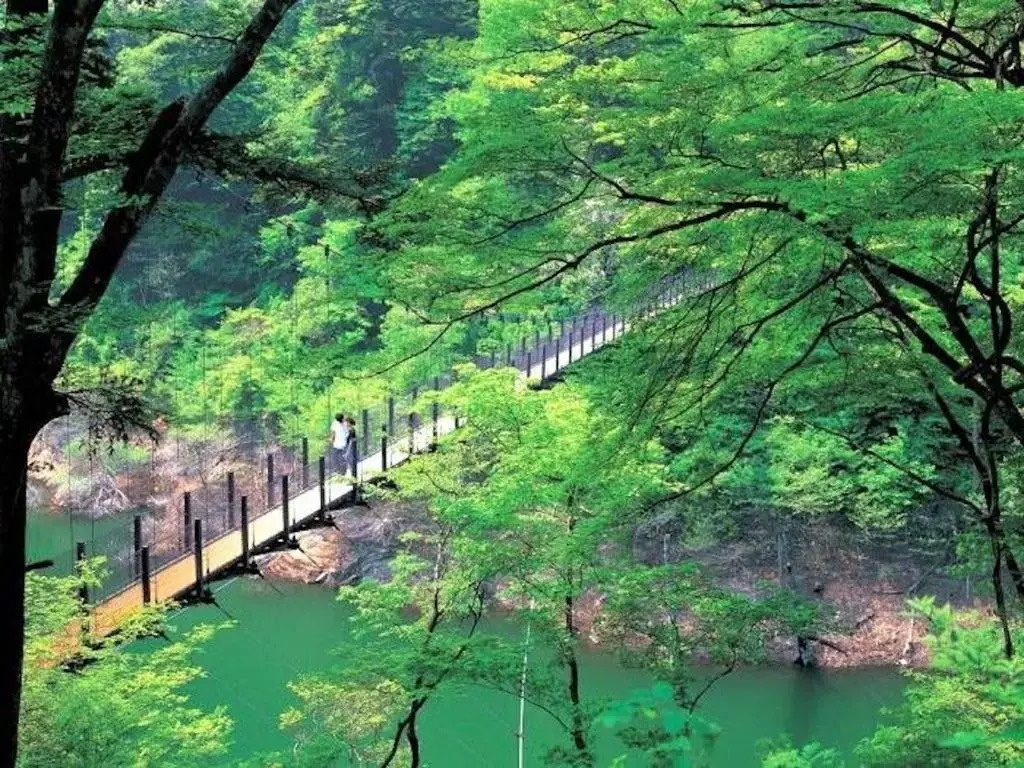Nasushiobara Ichimantei