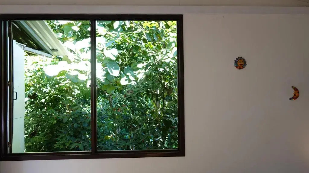 Osa de Rio