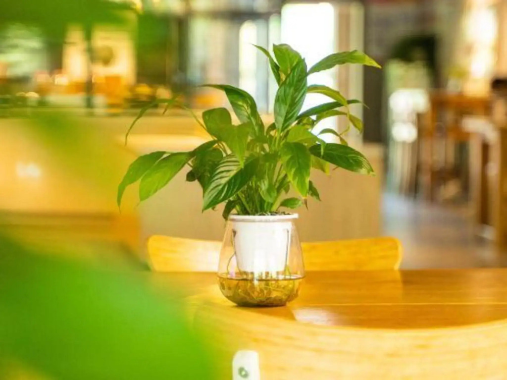 Ting Hotel（Hangzhou Alibaba Xixi Park）