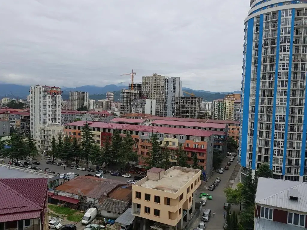 Apartment Inasaridze 18