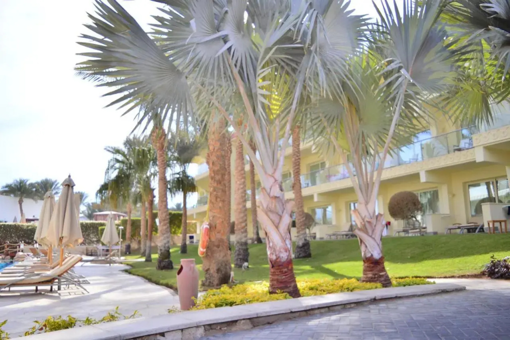Xperience Sea Breeze Resort