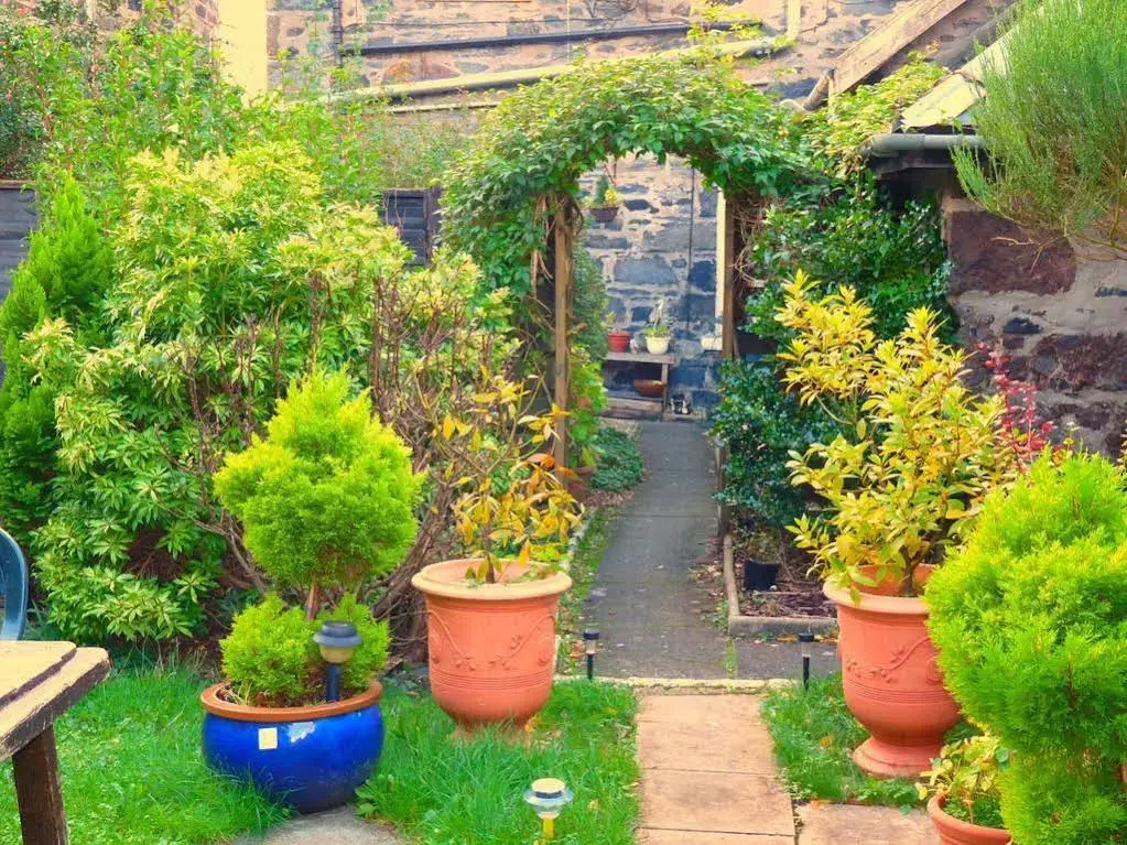Arbour Guest House