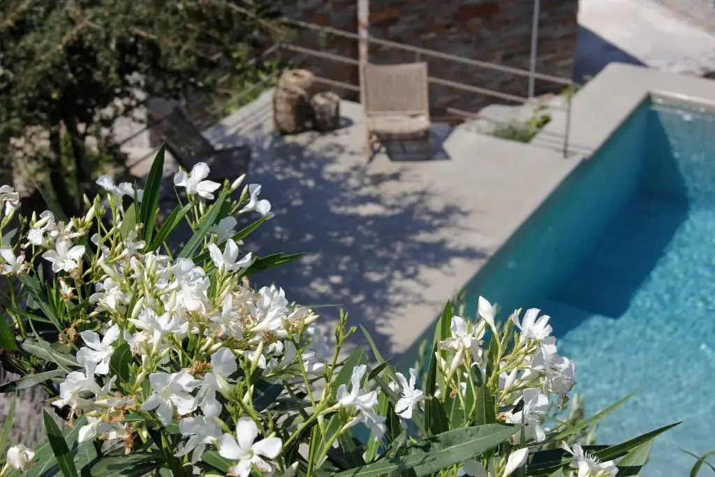 Villa Orso Blue I