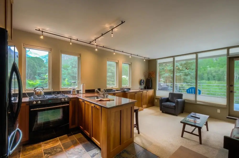 Muscatel Flats 2 1 Bedroom Condo By Accommodations in Telluride