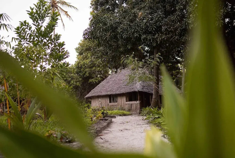 Afro Beach Safari
