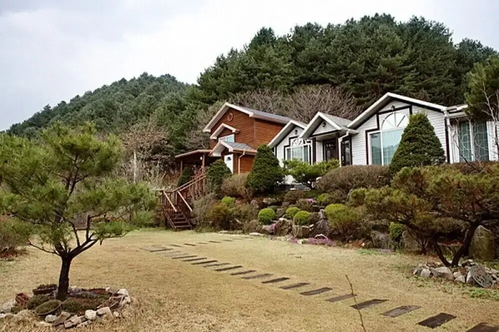 Seasonal Sky Pension