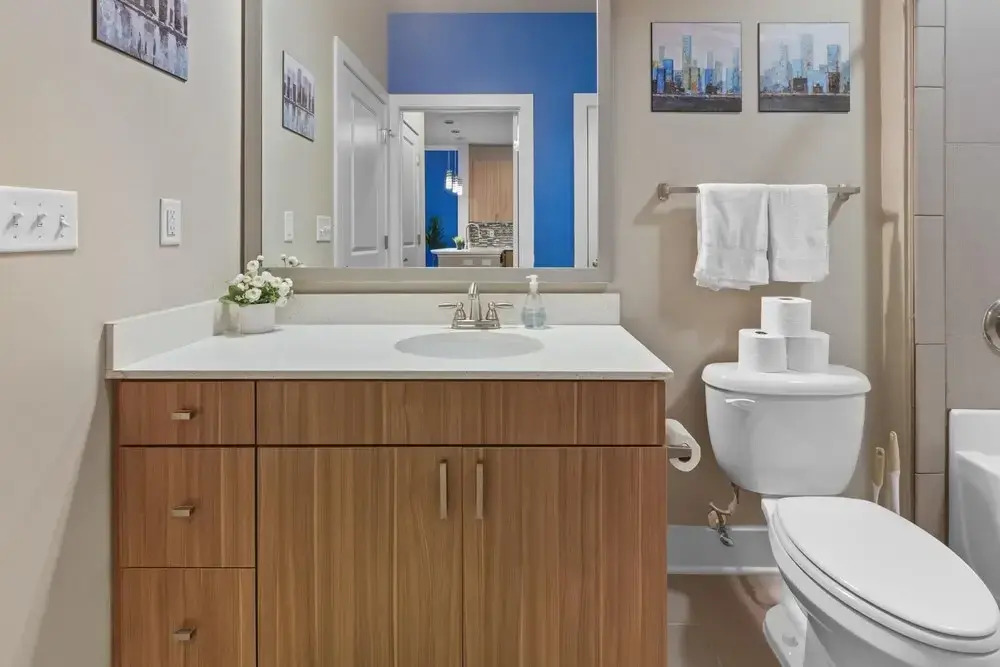 City Living in Downtown Raleigh Luxury Apt 2