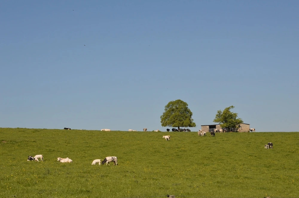 Spacious Family Villa, Offagne