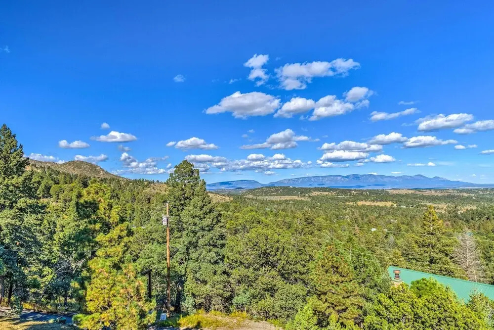 Serene Alto Cabin w/ Mountain Views & Fire Pit!