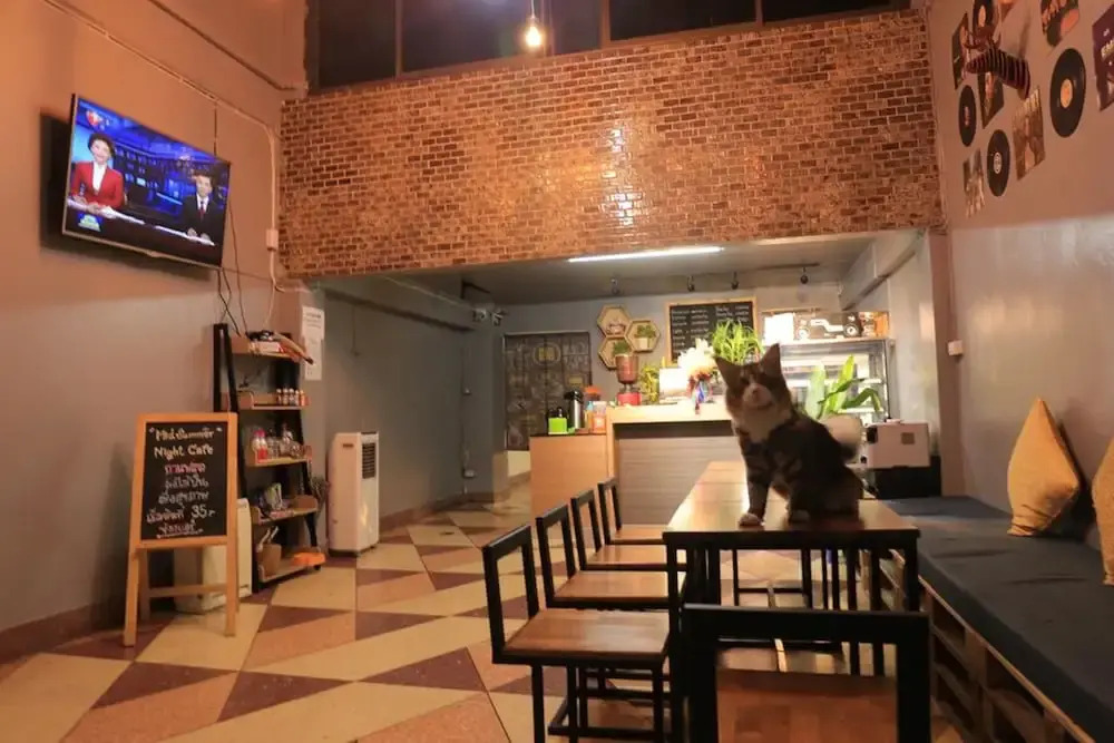 Midsummer Night Hostel