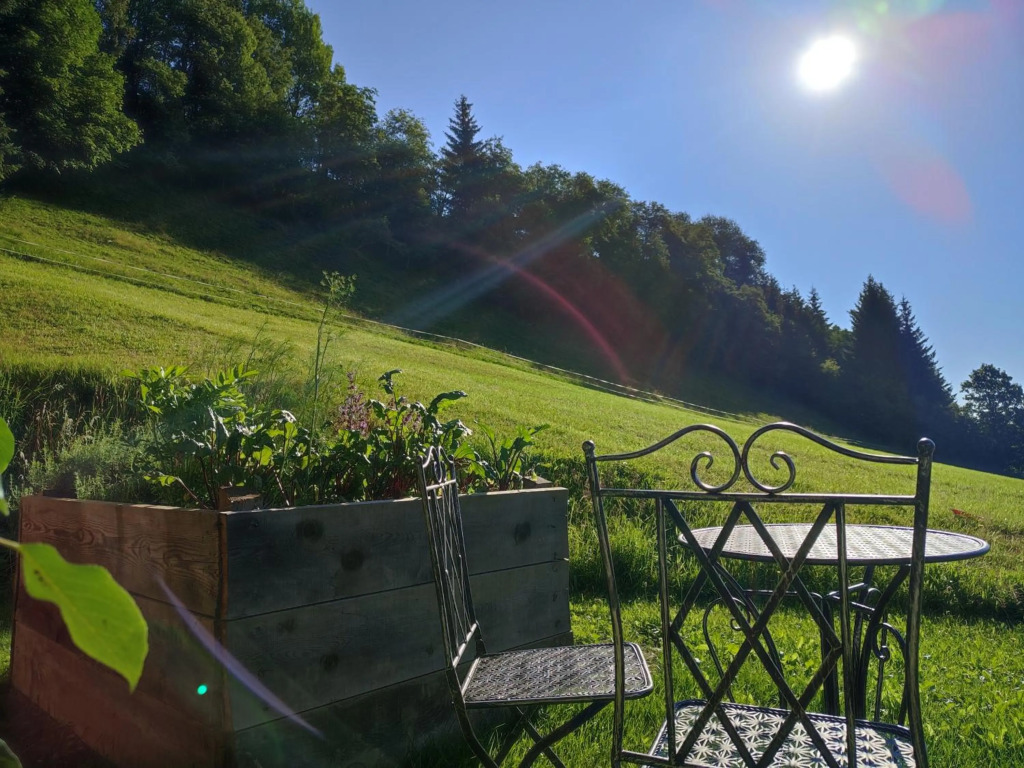 Ferienhaus Widholzhof