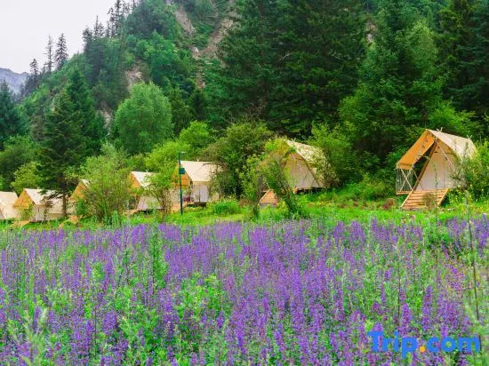 Ganhaizi Forest Camp