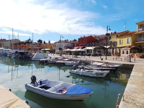 Apartment in Vrbnik/Insel Krk 13603