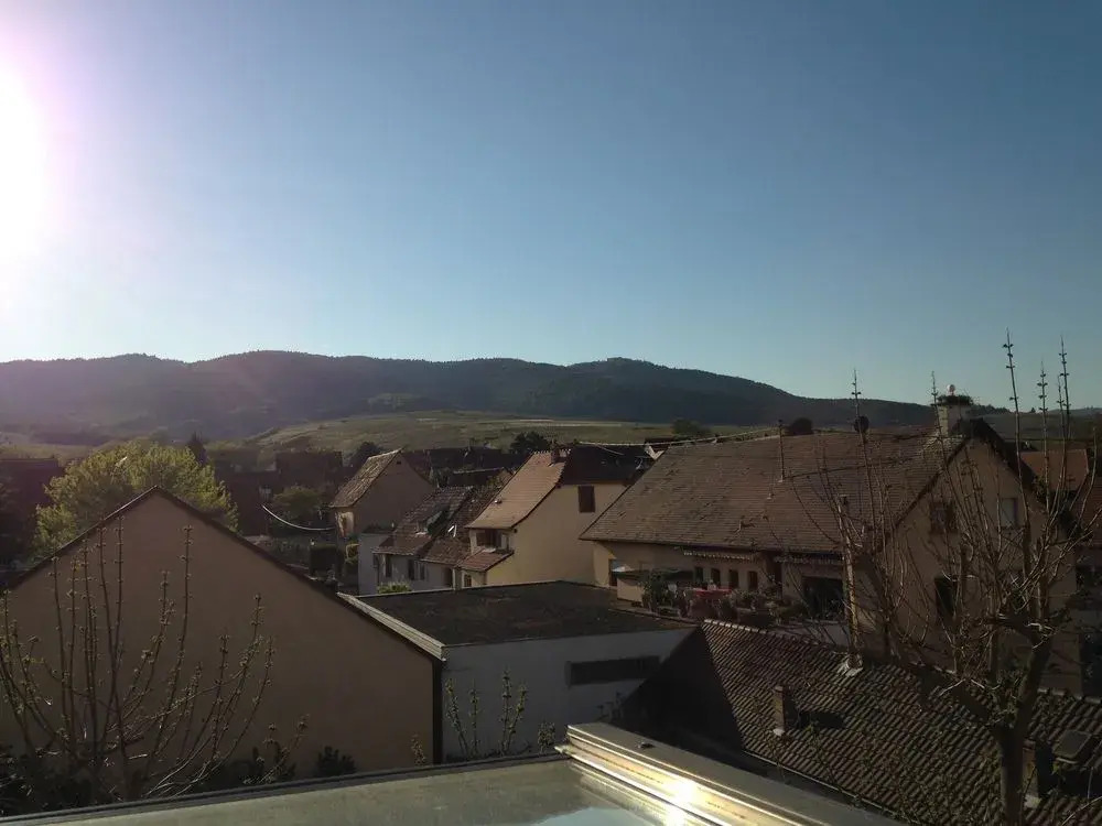 Hotel Colmar Vignes Eguisheim