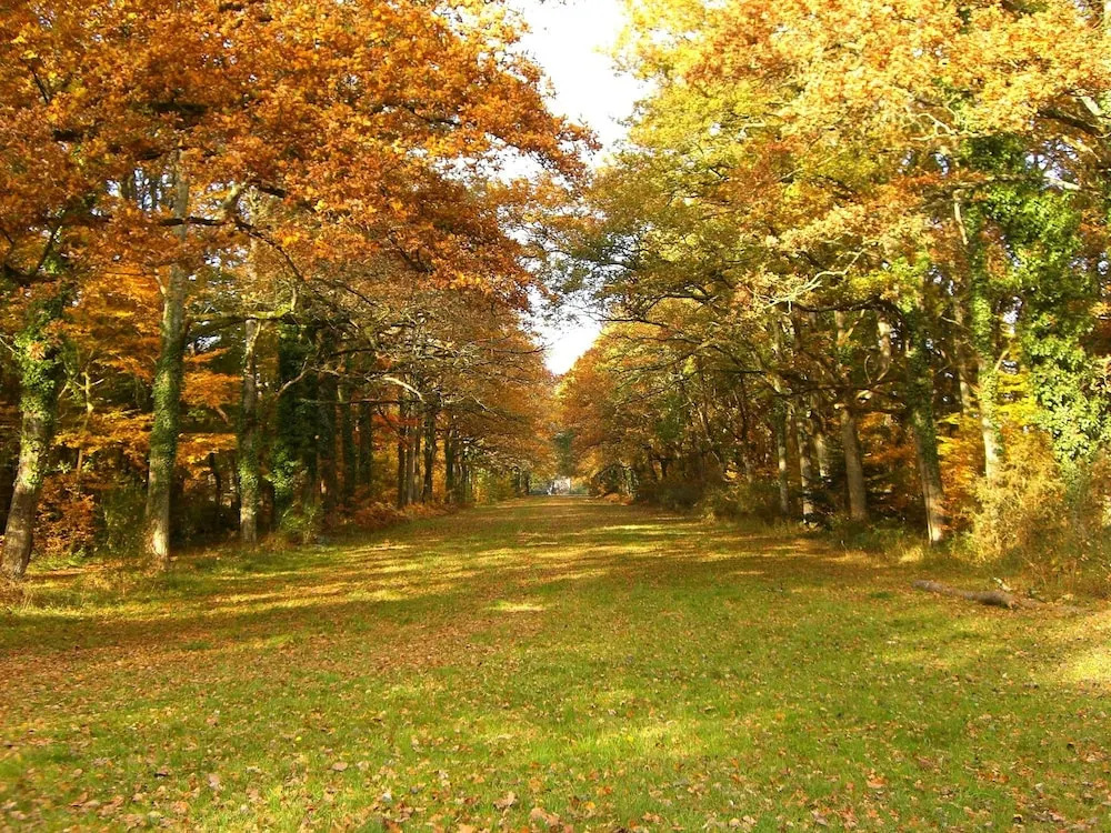 Château du Golf de la Freslonnière
