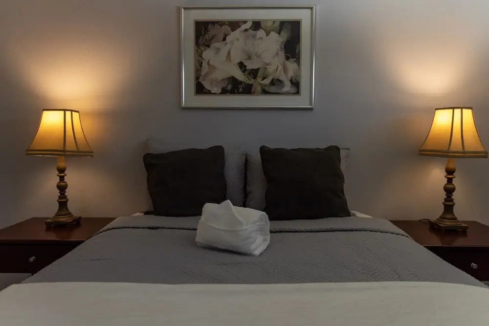 Updated and Clean 2-bedroom in San Jose