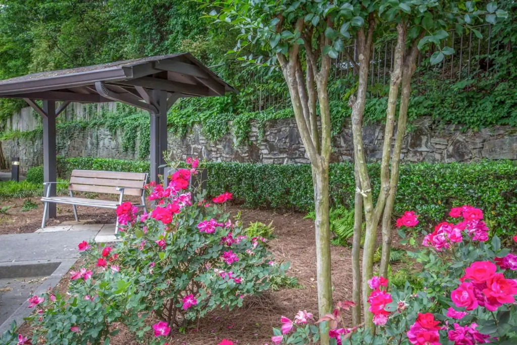 Quality Suites Atlanta Buckhead Village North