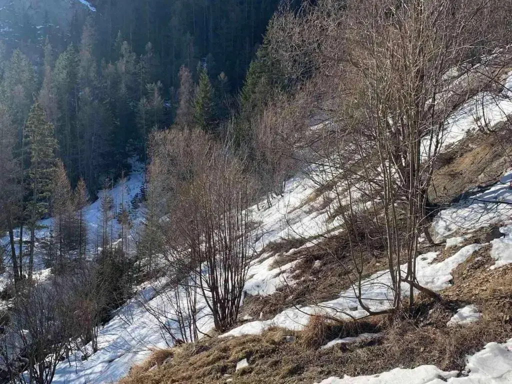 Appartement Pra-Loup, 1 pièce, 4 personnes - FR-1-165A-14