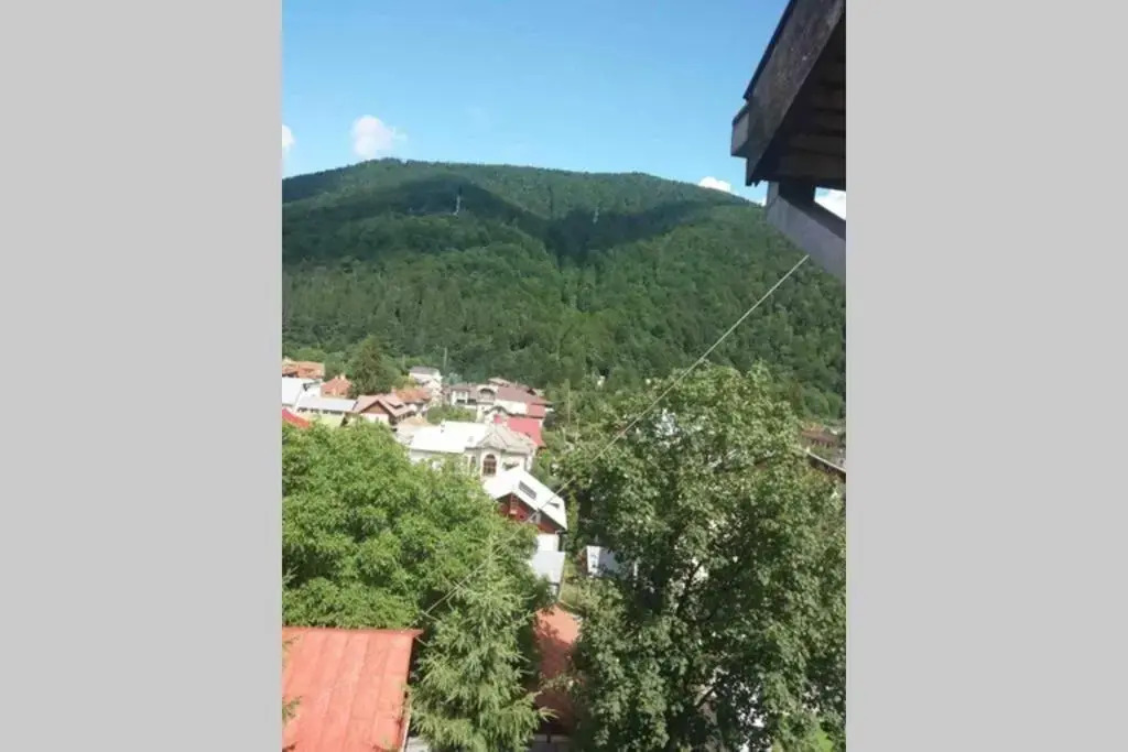 Extremely Quiet and Relaxing Apartment at the 4th Floor - No Elevator