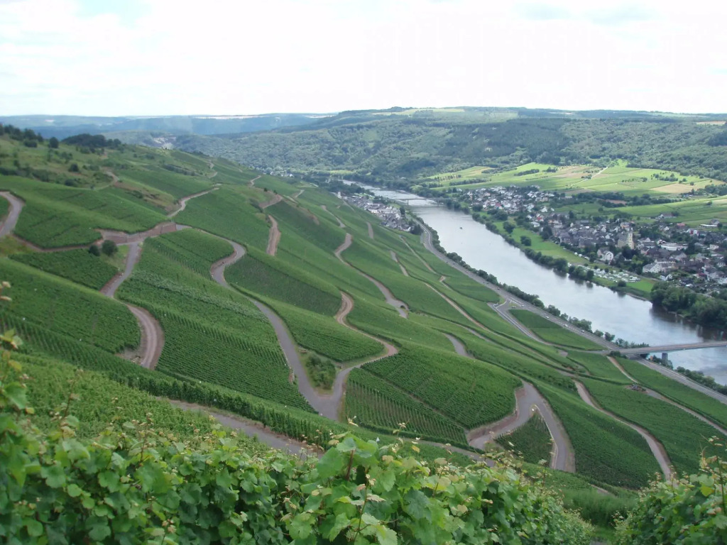 Romantischer Aufenthalt mit Blick auf den Weinberg