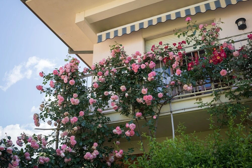 B&B Due Passi dal Mare