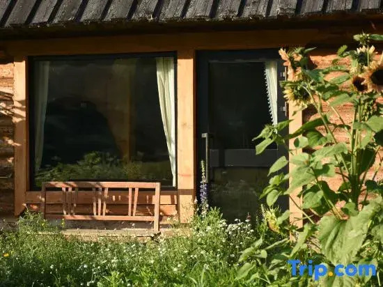 Hemu Youyuan Chalet Forest B&B