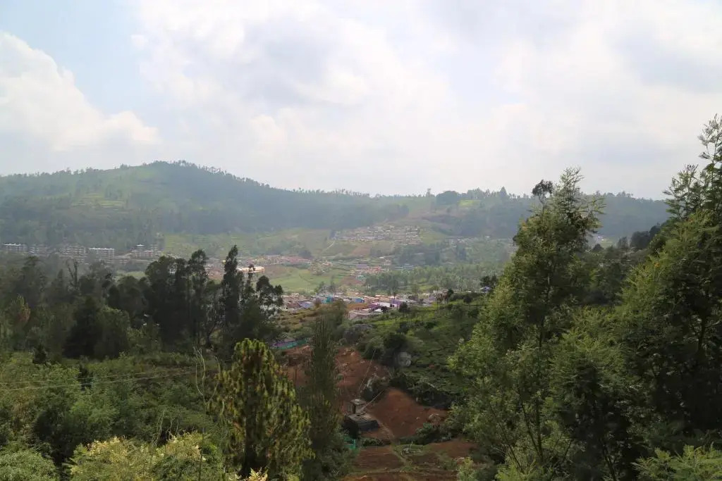 Green mount resort
