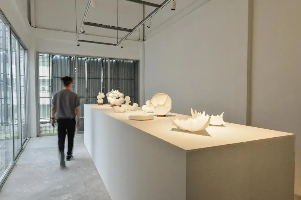 Tiang Capsule