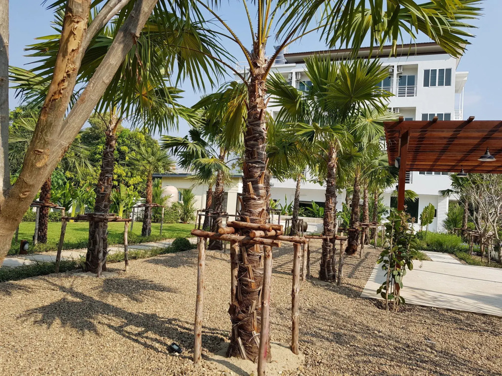 Chez Bure - Bure Homestay