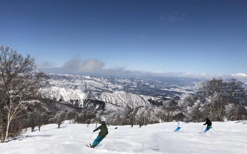 Address Nozawa