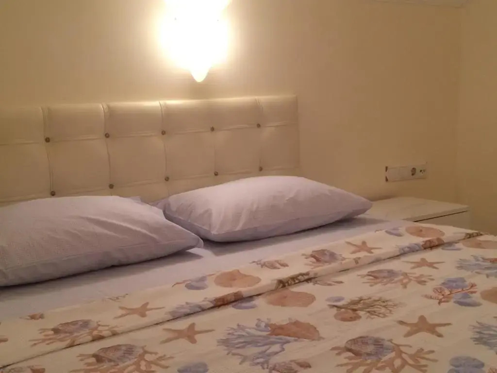 Tripleks Delux Villa Stella 4+1 Plaja 650 metre
