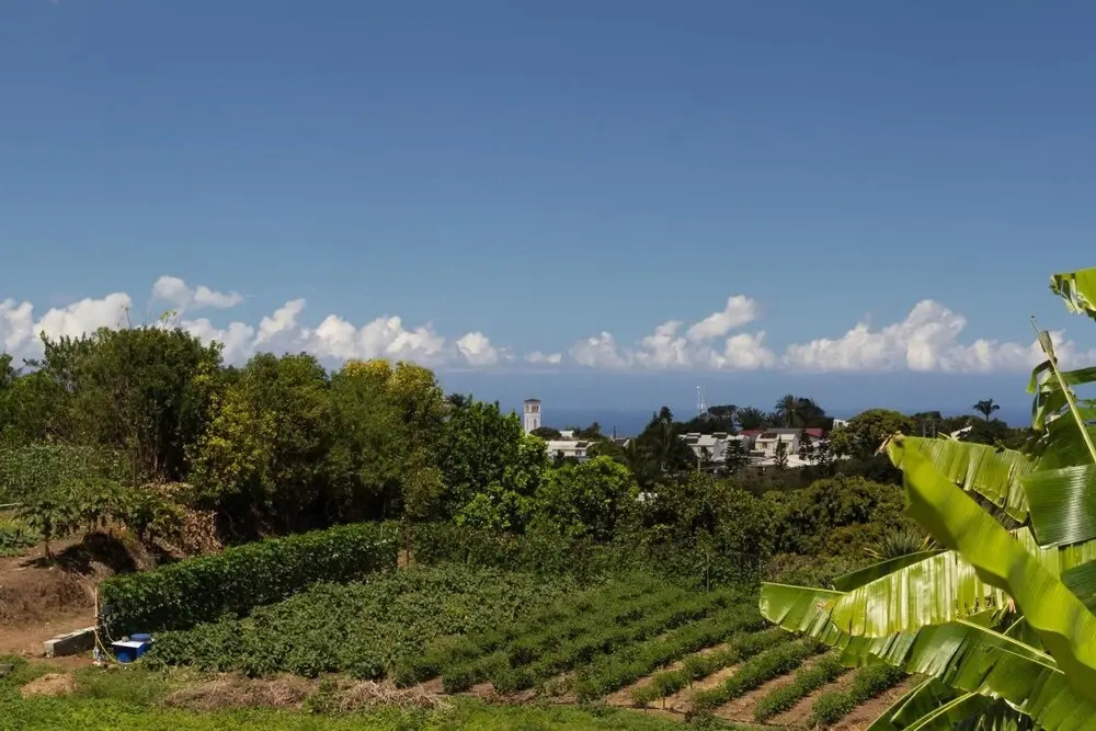 House With 2 Bedrooms in Entre Deux, With Wonderful Mountain View, Pool Access, Enclosed Garden - 18 km From the Beach
