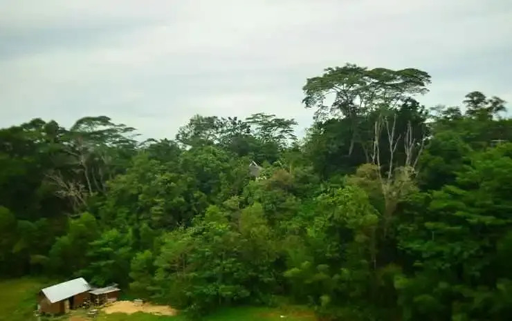 Hotel Rafly