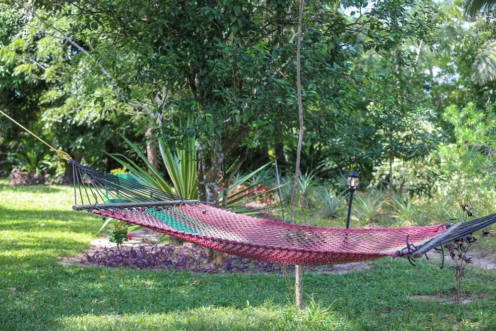 Mkungu House Private Villa