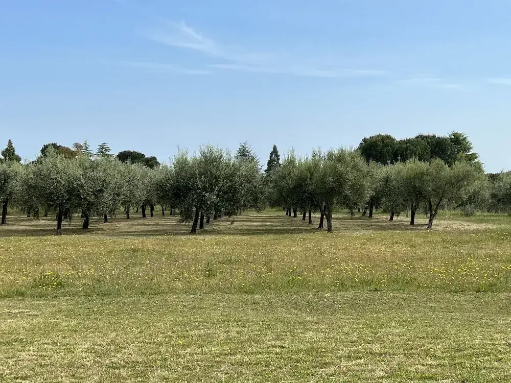 Hotel Valle di Venere