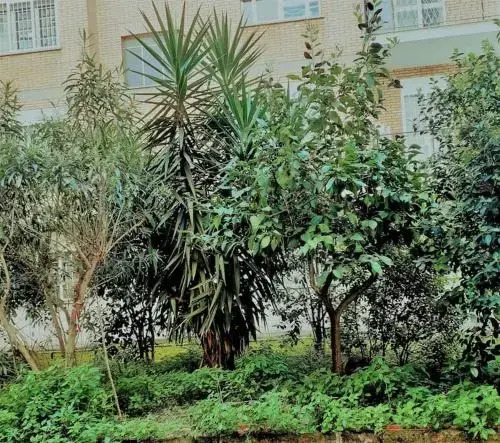 Casa Rosi