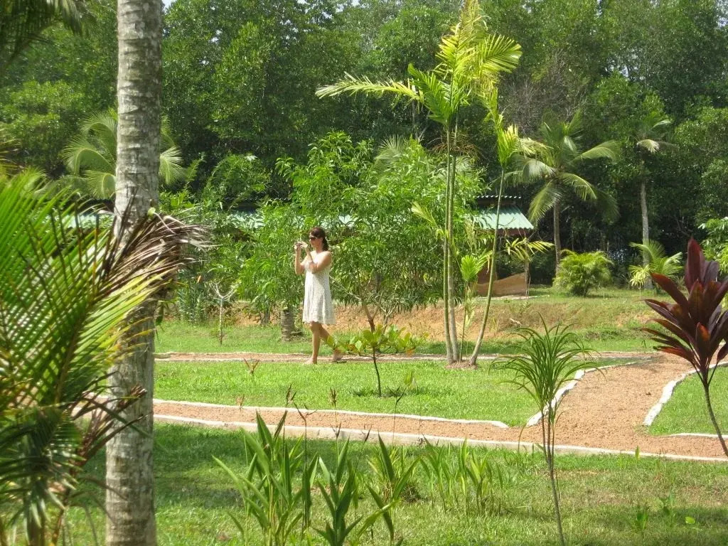 Mangrove Villa