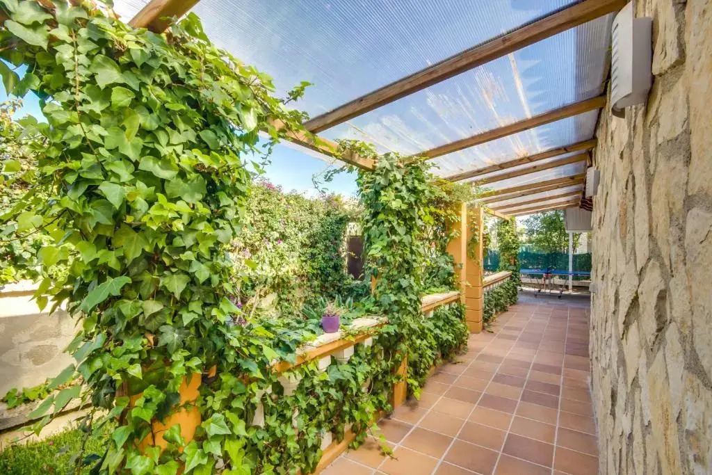 Ideal Property Mallorca - Casa Paqui