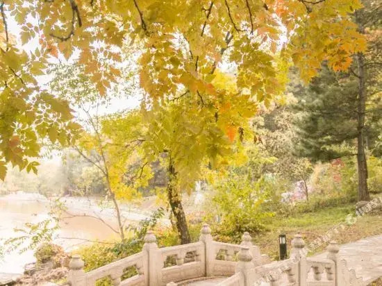 Jinchao Yuma Yaji Mountain Forest Hotel