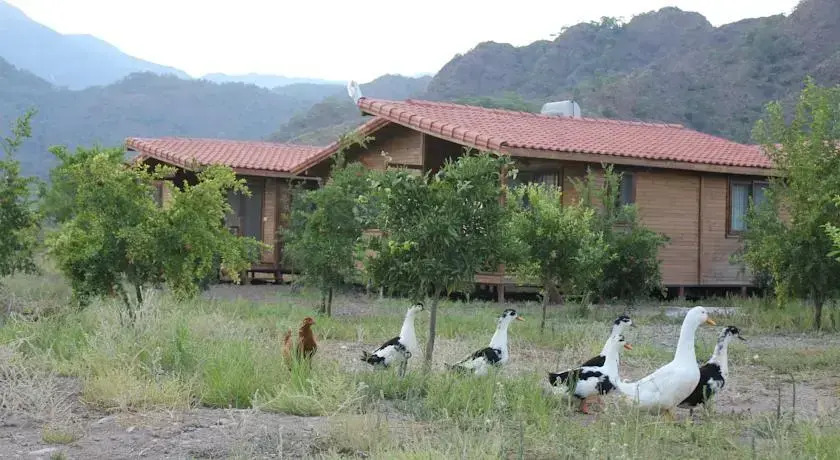 Beyaz Nar Holiday Houses