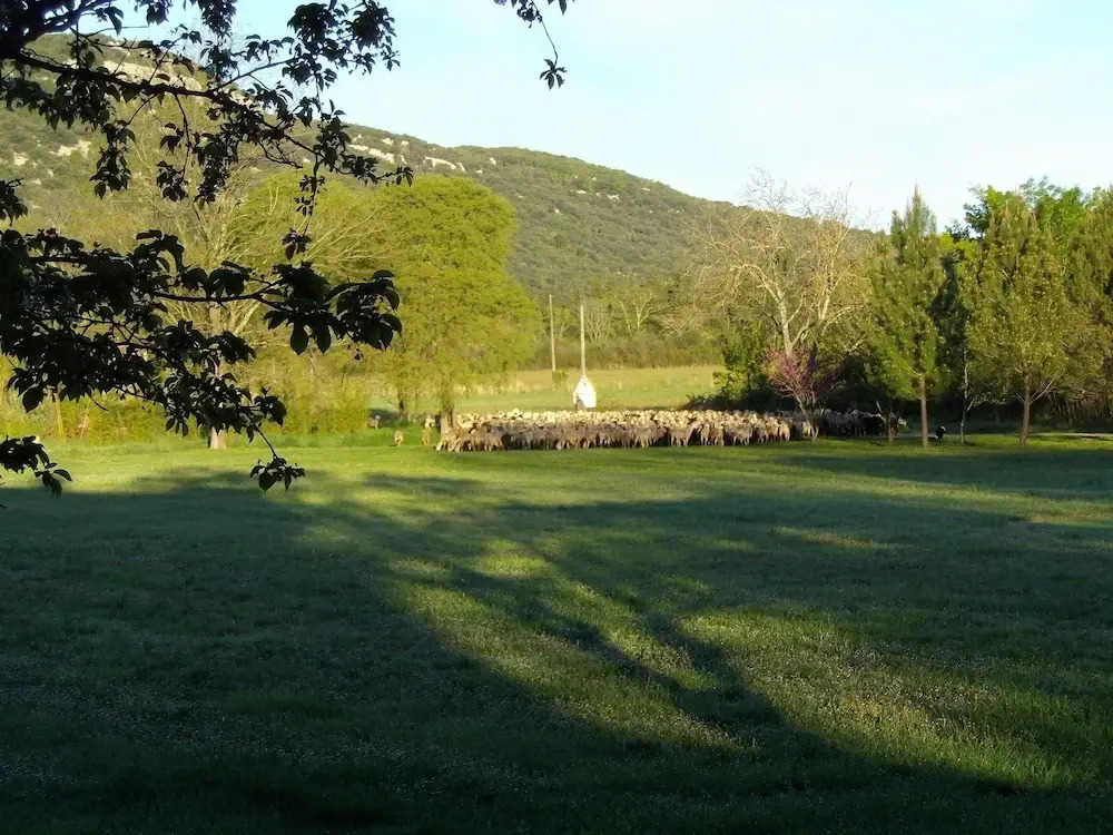 Logis Des Magnans - Gîte Confort