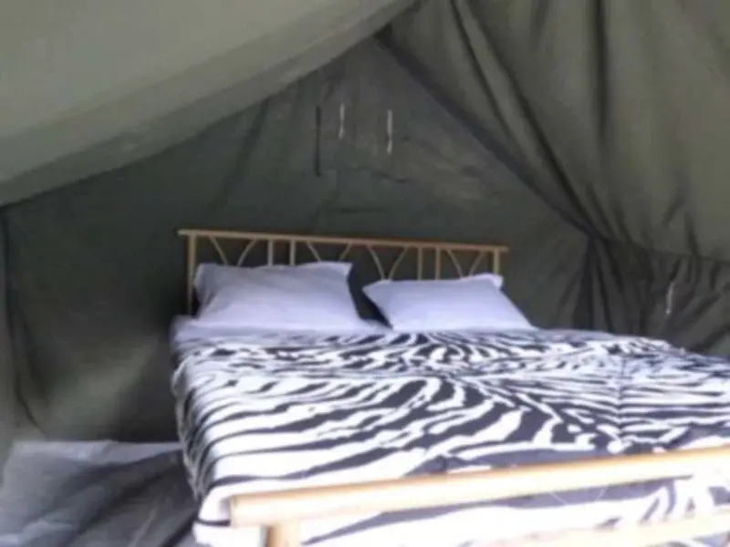 Mogli Camps
