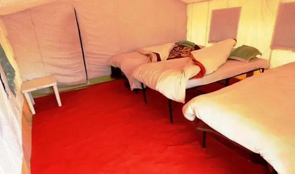 Wonderland Camps
