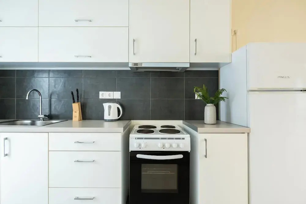Elysee apartment 3